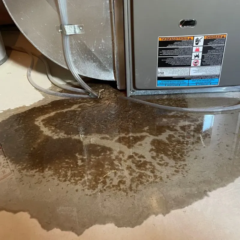 Pipe Burst and Leak Restoration in Country Squire Lakes, IN